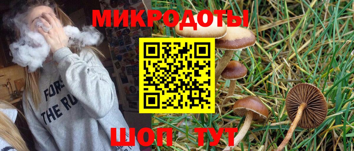 Псилоцибиновые грибы GOLDEN TEACHER  Вход с VPN  Омск 